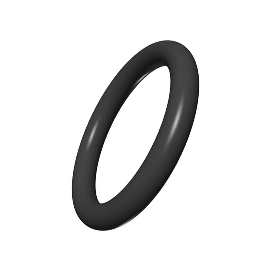 Hayward Filter Air Relief O-Ring - SX200Z5